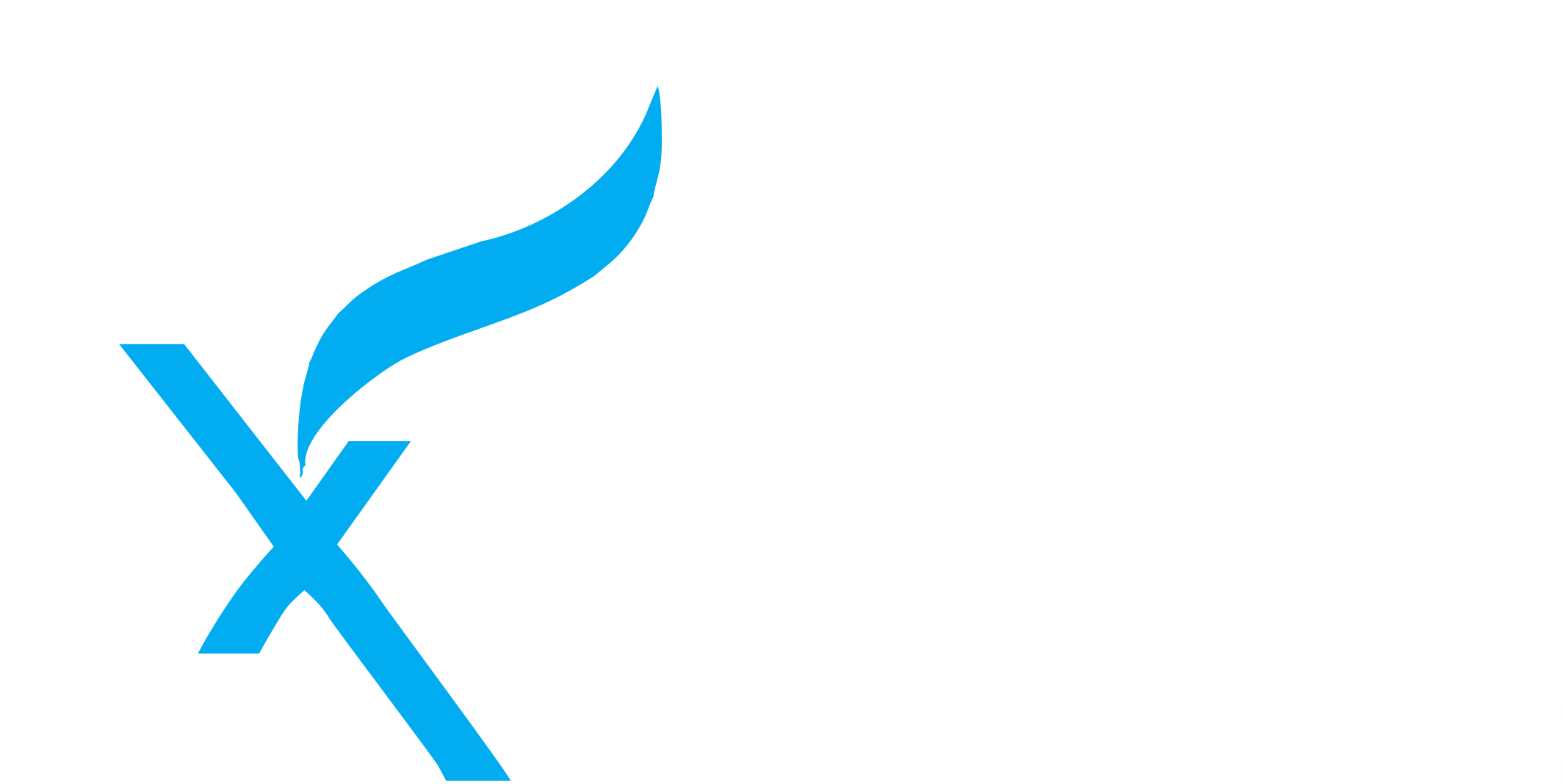 Excellent Groupe SARL